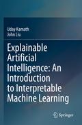Explainable Artificial Intelligence: An Introducti