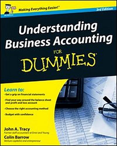 Understanding Business Accounting For Dummies, 3rd UK Edition