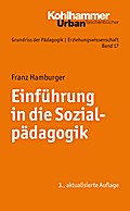 Einführung in die Sozialpädagogik