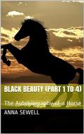 Black Beauty (Part 1 to 4)