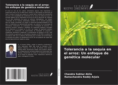 Tolerancia a la sequía en el arroz: Un enfoque de genética molecular