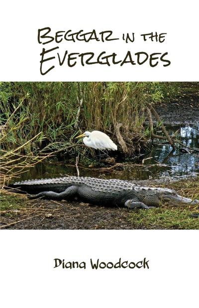Beggar in the Everglades