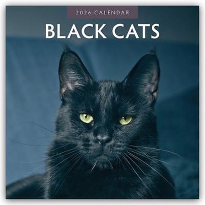 Black Cats - Schwarze Katzen 2026 - 16-Monatskalender