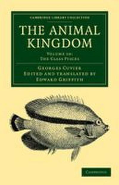 The Animal Kingdom - Volume 10