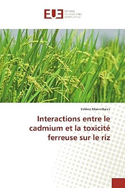 Interactions entre le cadmium et la toxicité ferreuse sur le riz - Hélène Maerschalck