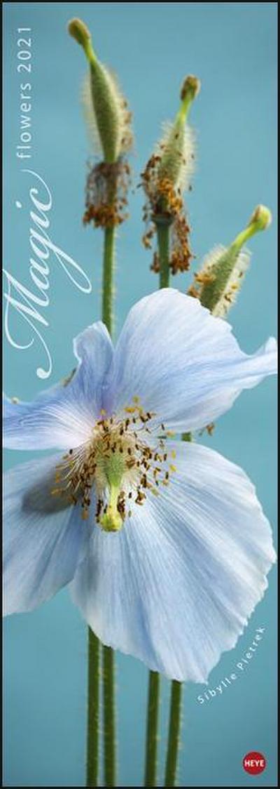 Magic Flowers Vertical 2021