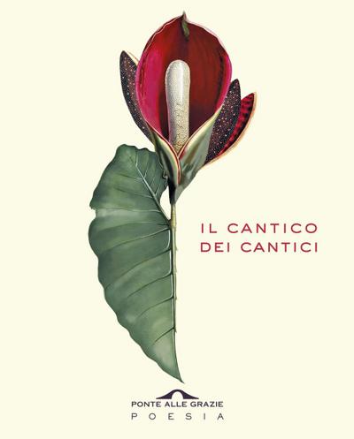 Il cantico dei cantici. Testo ebraico a fronte