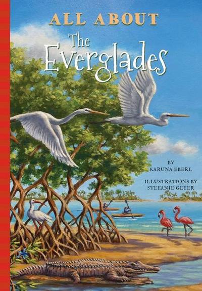 All about the Everglades