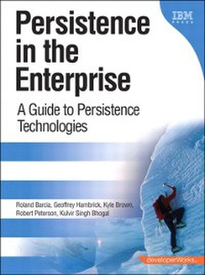 Persistence in the Enterprise