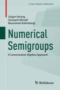 Numerical Semigroups