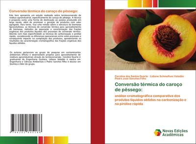 Conversão térmica do caroço de pêssego: