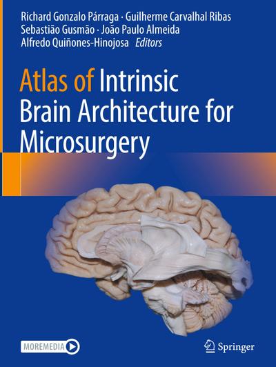 Atlas of Intrinsic Brain Architecture for Microsurgery