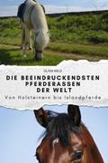 Die beeindruckendsten Pferderassen der Welt