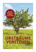 Obstbäume verstehen