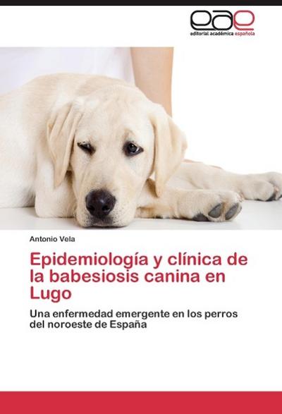 Epidemiología y clínica de la babesiosis canina en Lugo