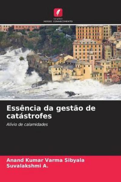 Essência da gestão de catástrofes