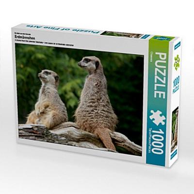 Zwei kleine Wachposten, 1000 Teile