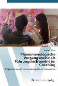 Phänomenologische Vorgangsweise als Führungsinstru