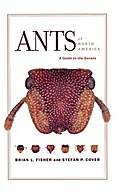 Ants of North America