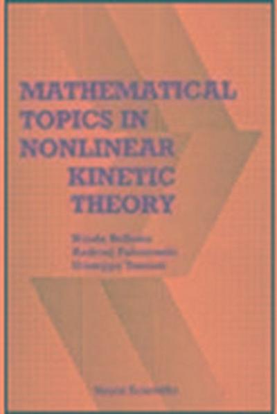 Mathematical Topics in Nonlinear Kinetic Theory