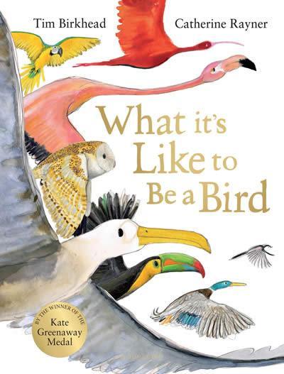 What it’s Like to be a Bird