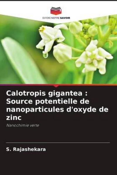 Calotropis gigantea : Source potentielle de nanoparticules d’oxyde de zinc