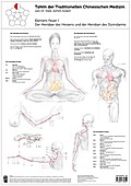 Tao Training Meridiantafel Feuer 1 Element