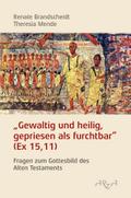 Gewaltig und heilig, gepriesen als furchtbar (Ex 15,11)