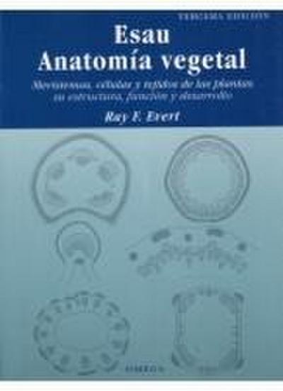 Anatomía vegetal