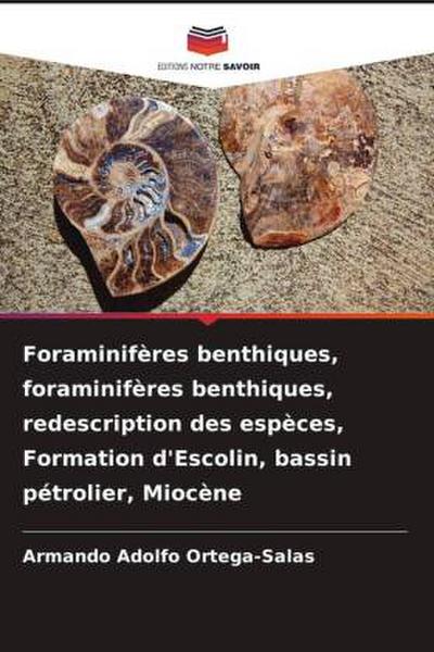 Foraminifères benthiques, foraminifères benthiques, redescription des espèces, Formation d’Escolin, bassin pétrolier, Miocène