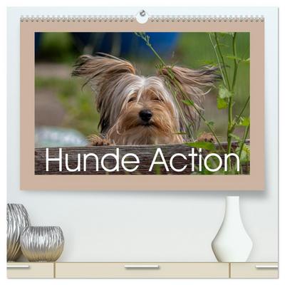 Hunde Action (hochwertiger Premium Wandkalender 2026 DIN A2 quer), Kunstdruck in Hochglanz