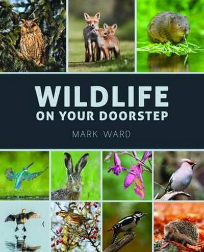 Wildlife on Your Doorstep