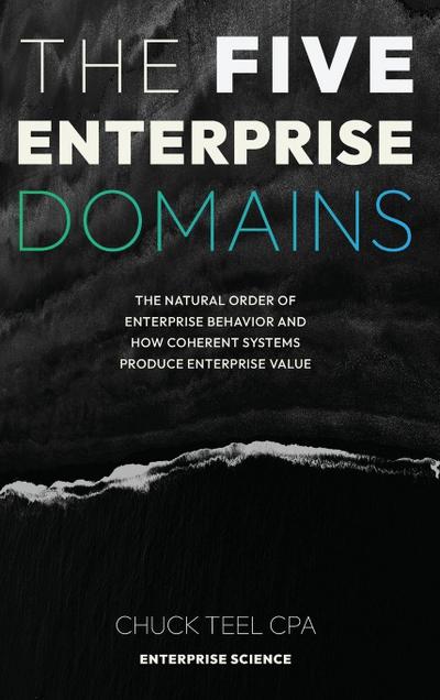 The Five Enterprise Domains