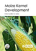 Maize Kernel Development