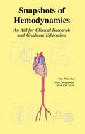 Snapshots of Hemodynamics