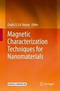 Magnetic Characterization Techniques for Nanomater