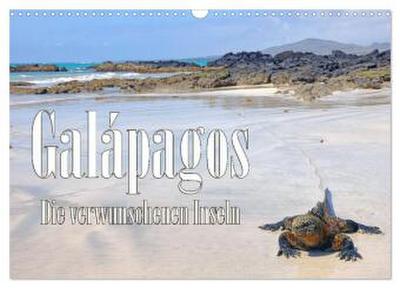 Galápagos - Die verwunschenen Inseln (Wandkalender 2026 DIN A3 quer), CALVENDO Monatskalender