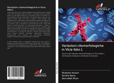 Variazioni citomorfologiche in Vicia faba L.