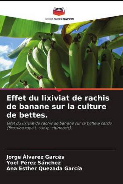 Effet du lixiviat de rachis de banane sur la culture de bettes.