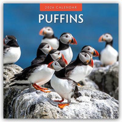 Puffins - Papageitaucher 2026 - 16-Monatskalender