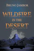 Wildfire in The Desert