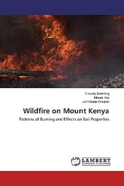 Wildfire on Mount Kenya