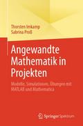 Angewandte Mathematik in Projekten