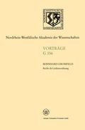 Recht als Leidensordnung