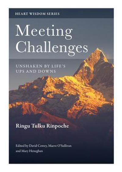 Meeting Challenges