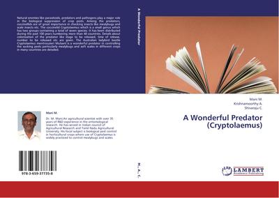 A Wonderful Predator (Cryptolaemus)