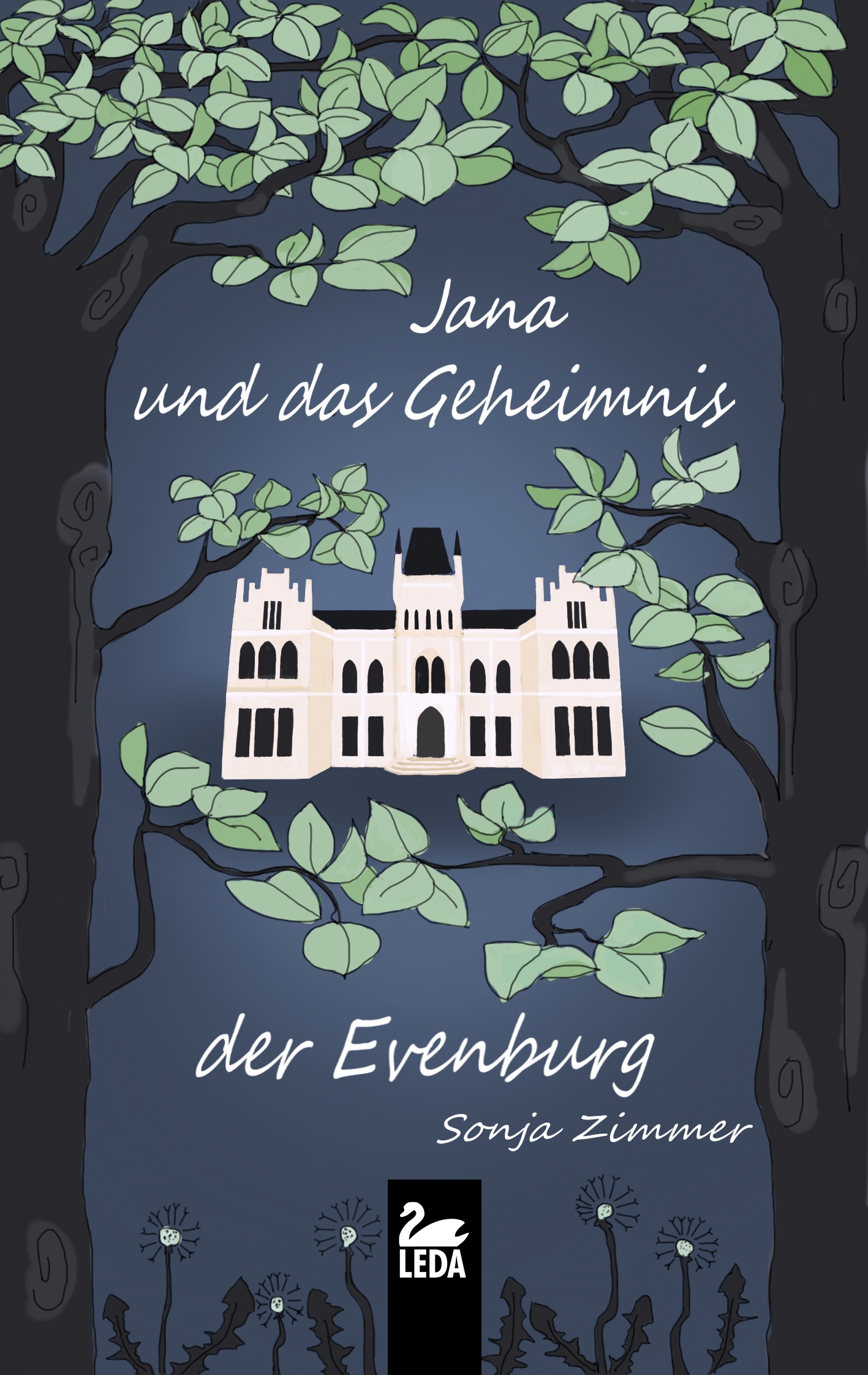 Jana und das Geheimnis der Evenburg (Mängelexemplar)