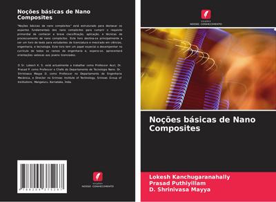 Noções básicas de Nano Composites
