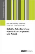 Geteilte Arbeitswelten. Konflikte um Migration und Arbeit