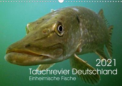 Tauchrevier Deutschland (Wandkalender 2021 DIN A3 quer)